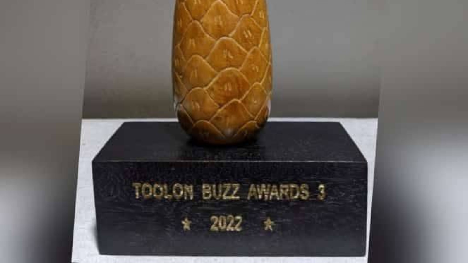 Toolon Buzz Awards 2022 : la troisième édition confirme l'essor de la scène culturelle du Noun